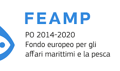 immagine del bando